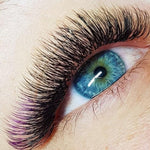 Xclusive Lashes Ombre black+purple eyelash extensions ONE SIZE, C shape