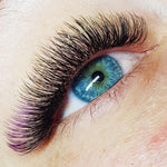 Xclusive Lashes Ombre black+purple eyelash extensions MIX, C shape
